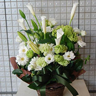 アレンジメント