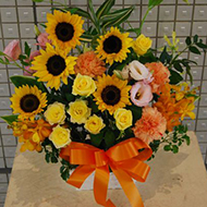 アレンジメント